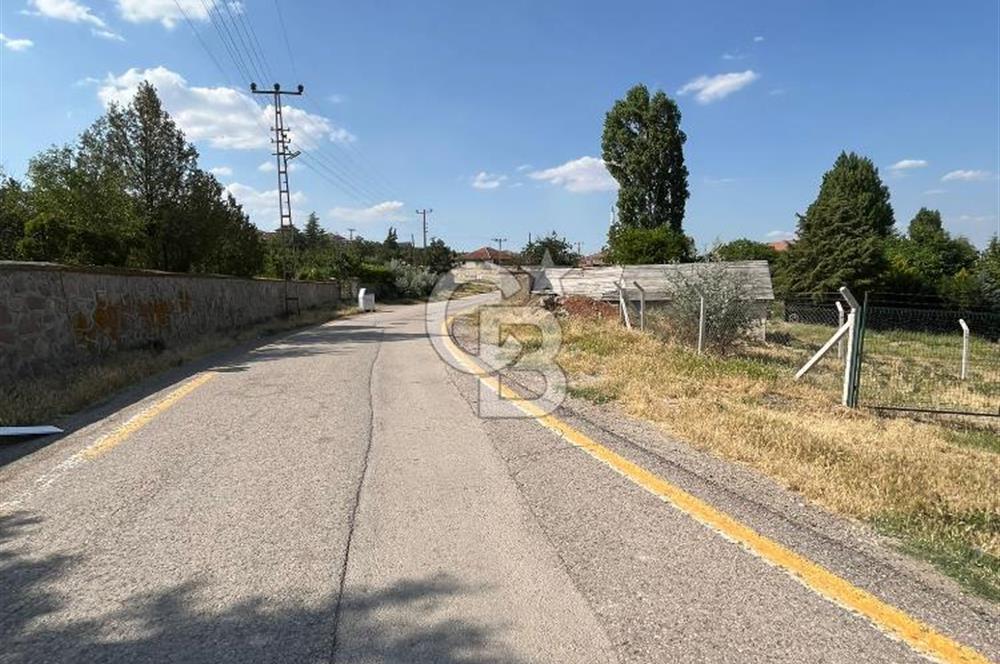 CB VİZYONDAN HACILAR KÖY İÇİ 0,50 EMSAL SATILIK ARSA