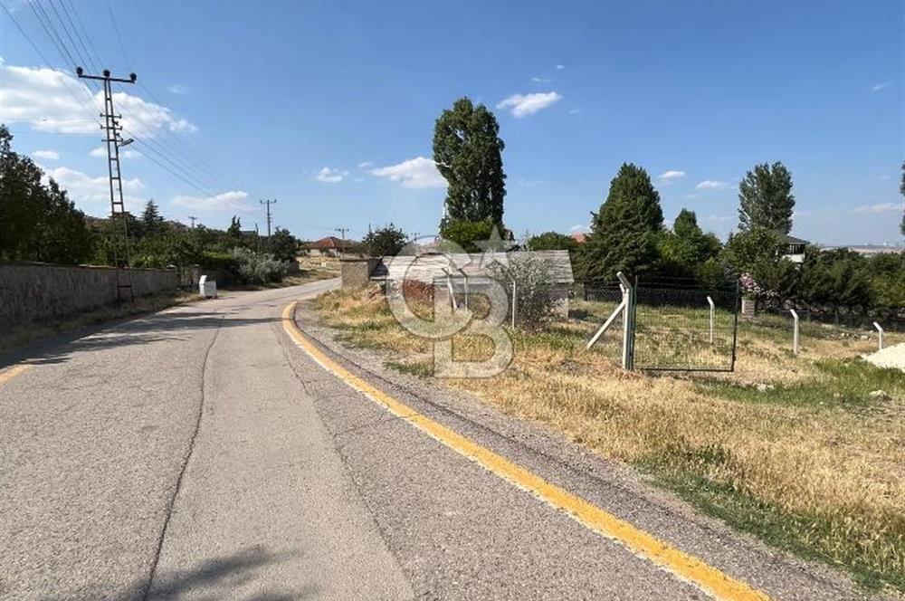 CB VİZYONDAN HACILAR KÖY İÇİ 0,50 EMSAL SATILIK ARSA