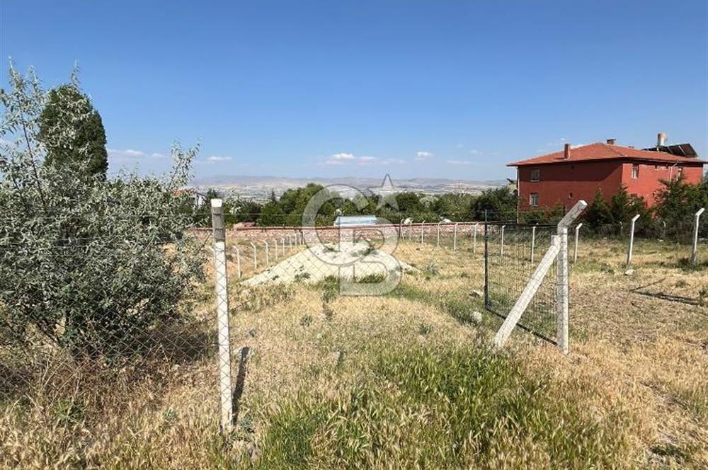 CB VİZYONDAN HACILAR KÖY İÇİ 0,50 EMSAL SATILIK ARSA