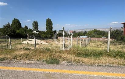 CB VİZYONDAN HACILAR KÖY İÇİ 0,50 EMSAL SATILIK ARSA