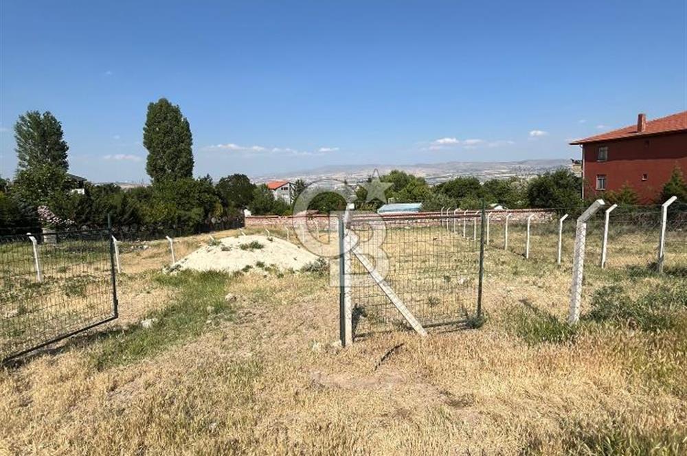 CB VİZYONDAN HACILAR KÖY İÇİ 0,50 EMSAL SATILIK ARSA