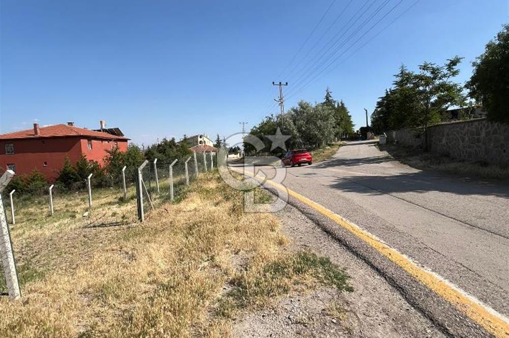 CB VİZYONDAN HACILAR KÖY İÇİ 0,50 EMSAL SATILIK ARSA