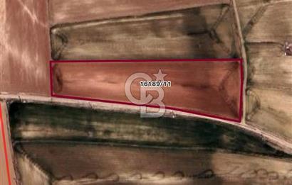 CB CITY' DEN ODUNPAZARI KARATEPE' DE YOLA CEPHE SATILIK TARLA