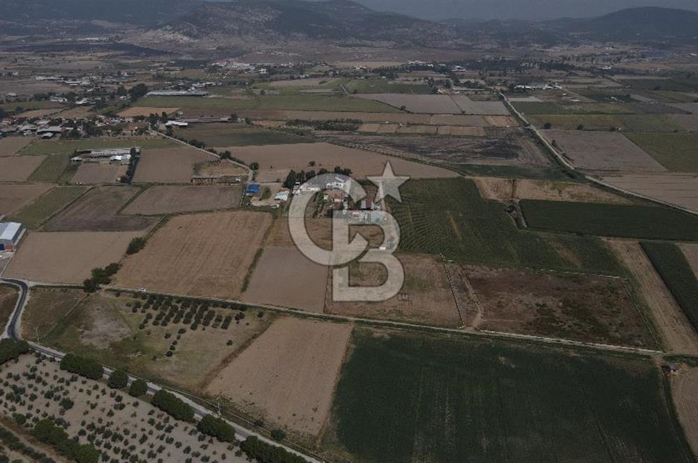 Yatırım Fırsatı Satılık Tarla