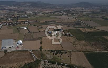 Yatırım Fırsatı Satılık Tarla