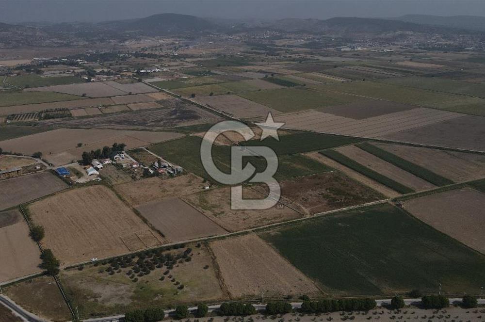 Yatırım Fırsatı Satılık Tarla