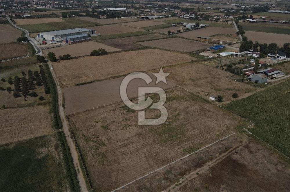 Yatırım Fırsatı Satılık Tarla