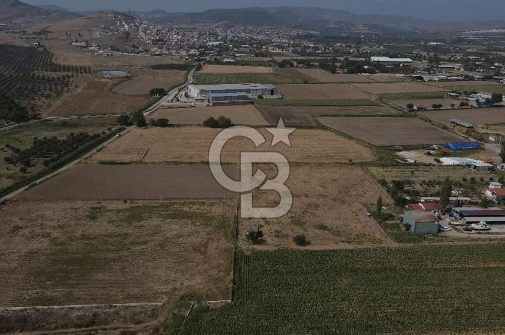 Yatırım Fırsatı Satılık Tarla