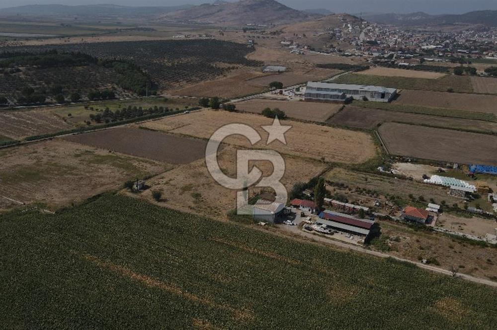 Yatırım Fırsatı Satılık Tarla