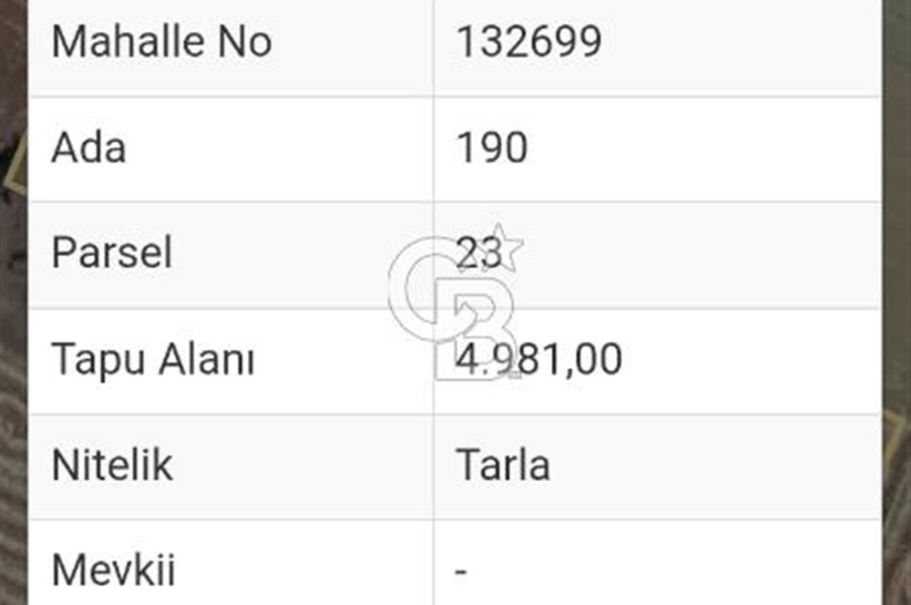 Konya Seydişehir kavak satılık tarla 