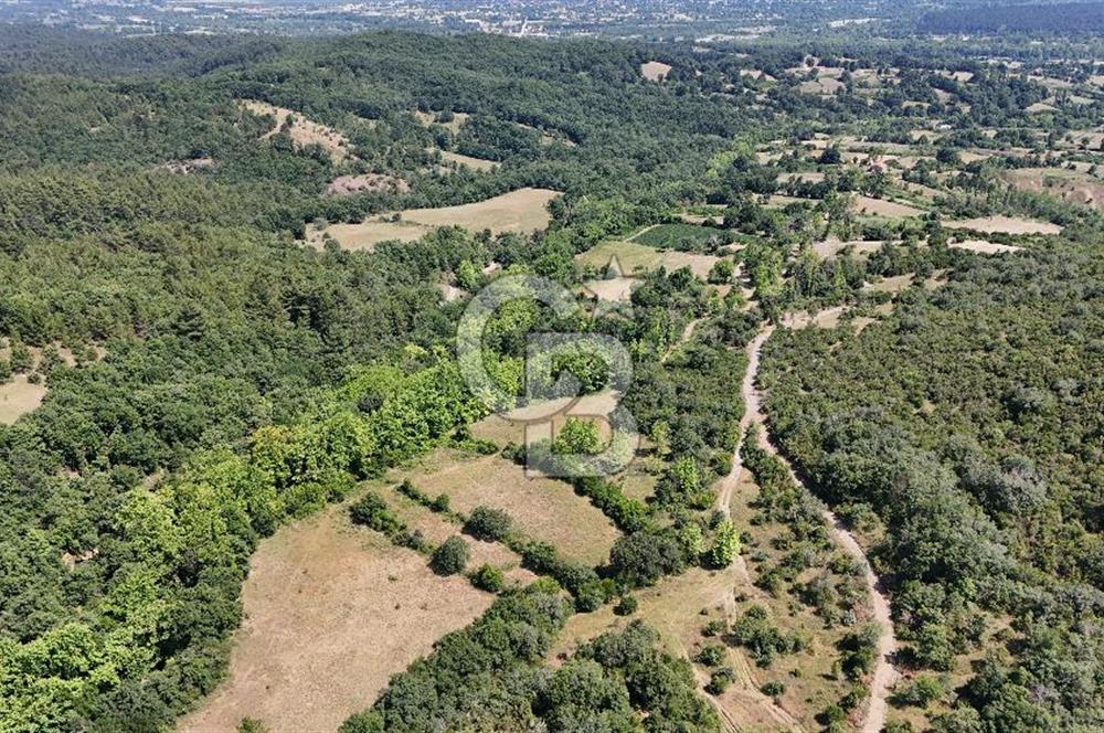 Çanakkale Yenice Örencik Köyü'nde 1437 M² Satılık Tarla !
