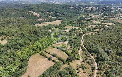 Çanakkale Yenice Örencik Köyü'nde 1437 M² Satılık Tarla !