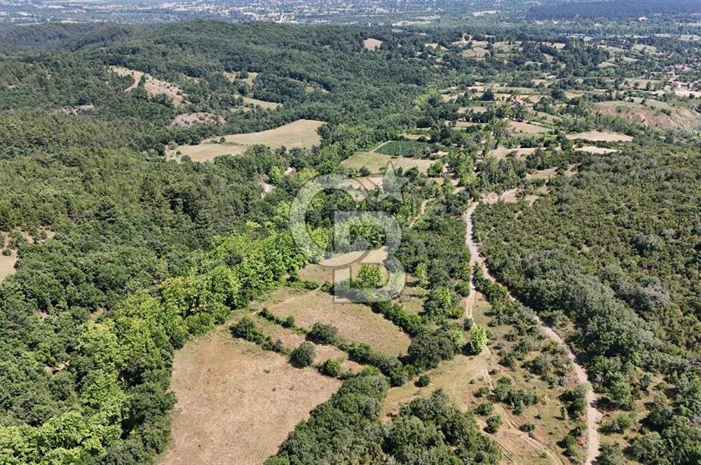 Çanakkale Yenice Örencik Köyü'nde 1437 M² Satılık Tarla !