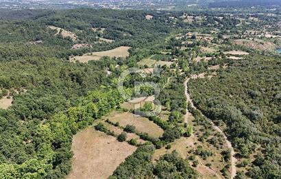 Çanakkale Yenice Örencik Köyü'nde 1437 M² Satılık Tarla !