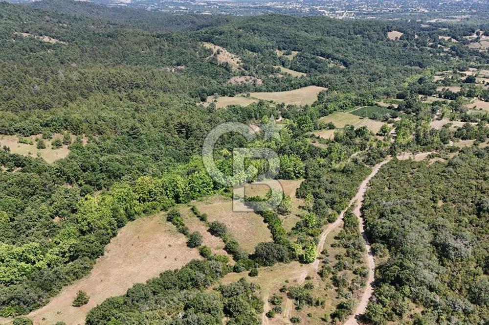 Çanakkale Yenice Örencik Köyü'nde 1437 M² Satılık Tarla !
