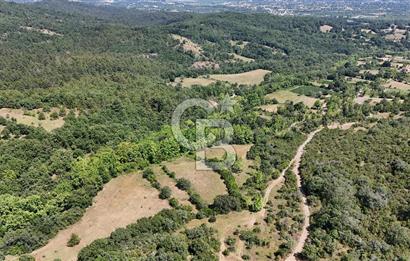Çanakkale Yenice Örencik Köyü'nde 1437 M² Satılık Tarla !
