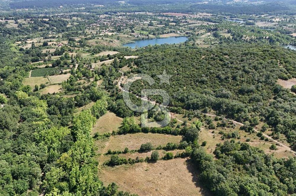 Çanakkale Yenice Örencik Köyü'nde 1437 M² Satılık Tarla !