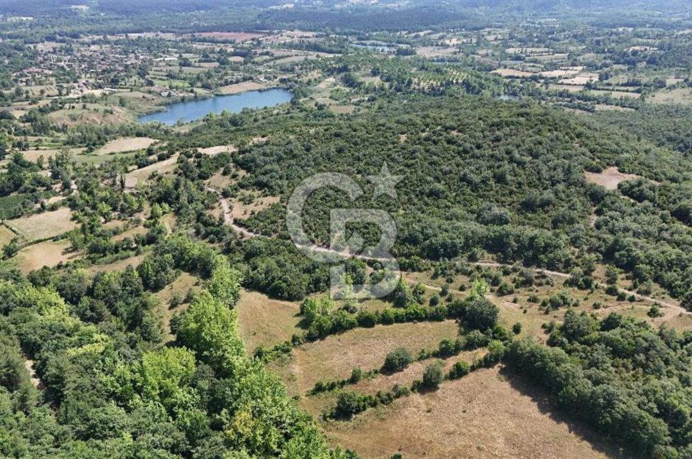 Çanakkale Yenice Örencik Köyü'nde 1437 M² Satılık Tarla !