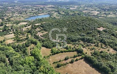 Çanakkale Yenice Örencik Köyü'nde 1437 M² Satılık Tarla !