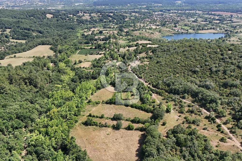 Çanakkale Yenice Örencik Köyü'nde 1437 M² Satılık Tarla !