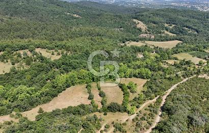 Çanakkale Yenice Örencik Köyü'nde 1437 M² Satılık Tarla !