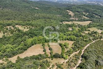 Çanakkale Yenice Örencik Köyü'nde 1437 M² Satılık Tarla !