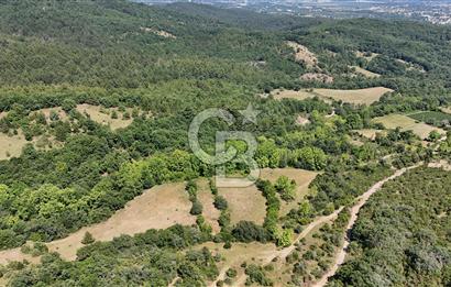 Çanakkale Yenice Örencik Köyü'nde 1437 M² Satılık Tarla !
