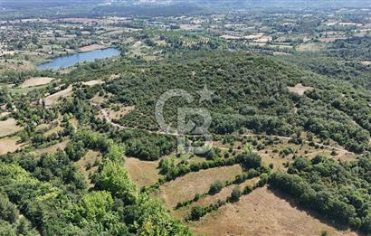 Çanakkale Yenice Örencik Köyü'nde 1437 M² Satılık Tarla !