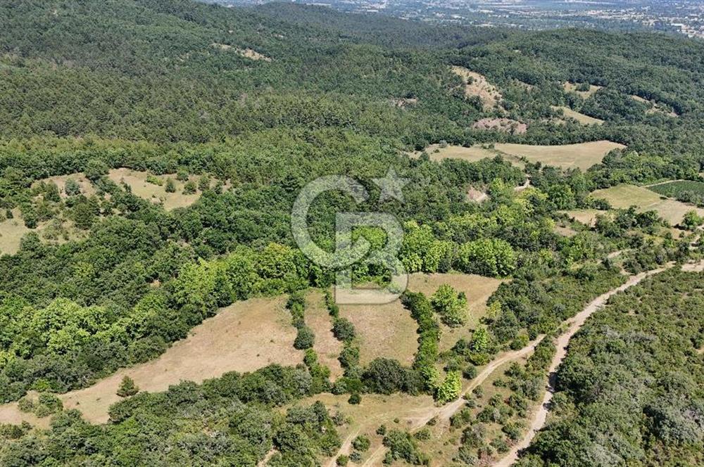Çanakkale Yenice Örencik Köyü'nde 1437 M² Satılık Tarla !