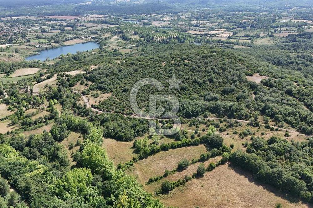 Çanakkale Yenice Örencik Köyü'nde 1437 M² Satılık Tarla !