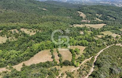 Çanakkale Yenice Örencik Köyü'nde 1437 M² Satılık Tarla !