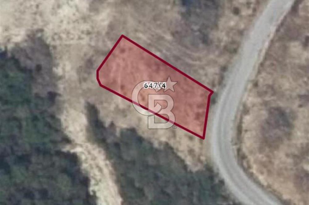 Kuşadası Soğucak’ta 564,25m² Satılık Konut İmarlı Arsa!
