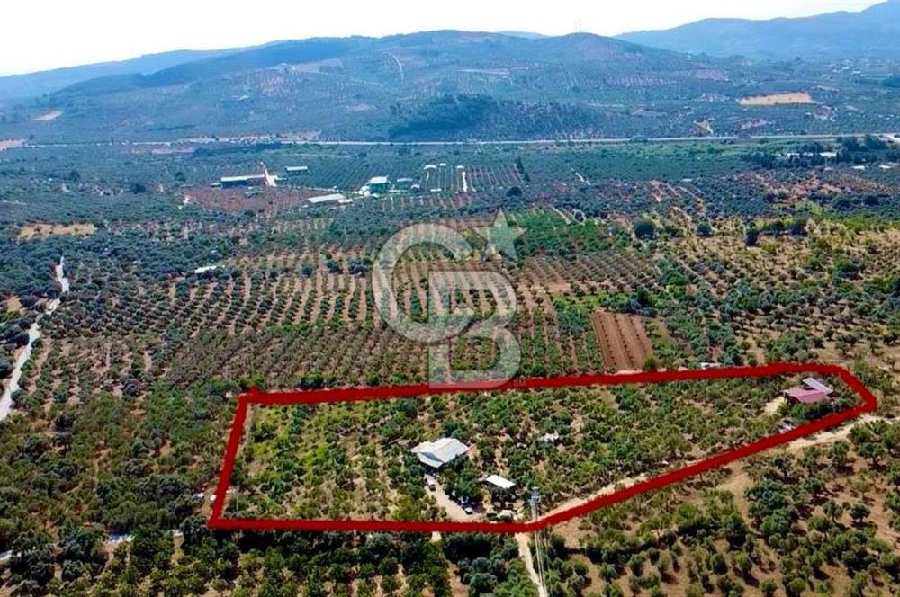 Torbalı Karakızlar’da arazi