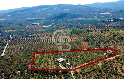 Torbalı Karakızlar’da arazi
