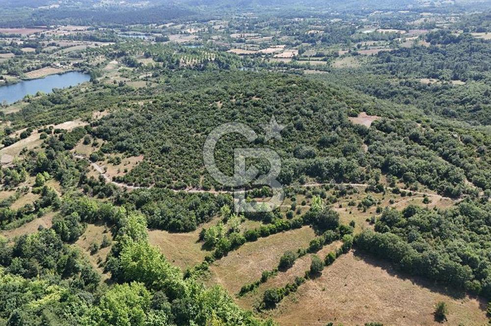 Çanakkale Yenice Örencik Köyü'nde 1437 M² Satılık Tarla !