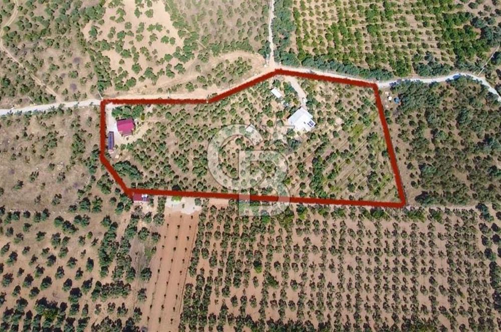 Torbalı Karakızlar’da arazi