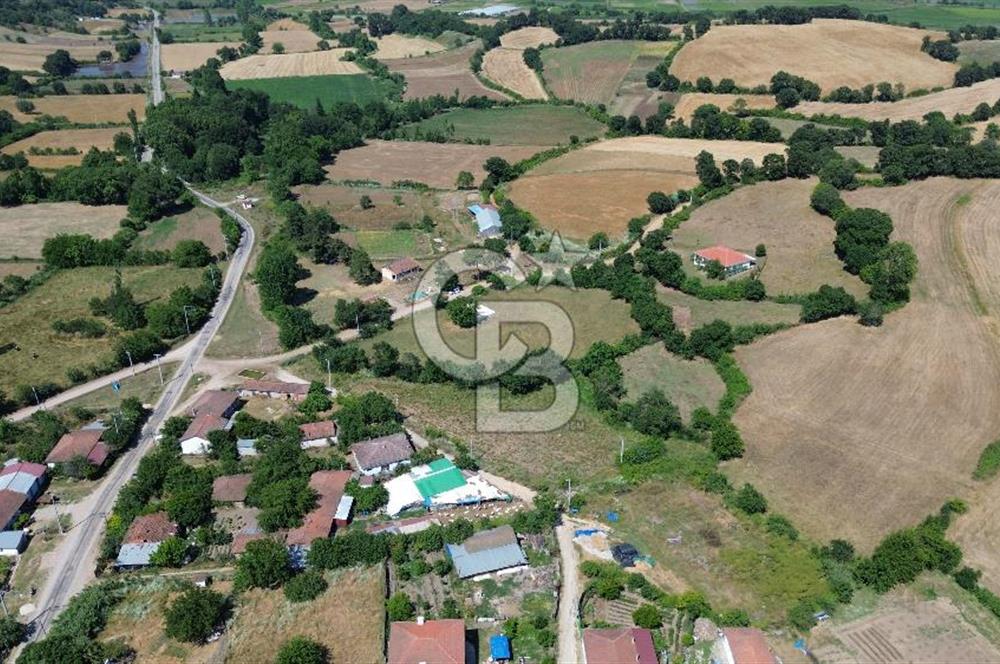 Çanakkale Biga Türkbakacak Köyü'nde 375 M² İmarlı Satılık Arsa !