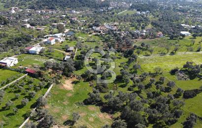 Yalıçiftlikte  342 m2 parsel no:11