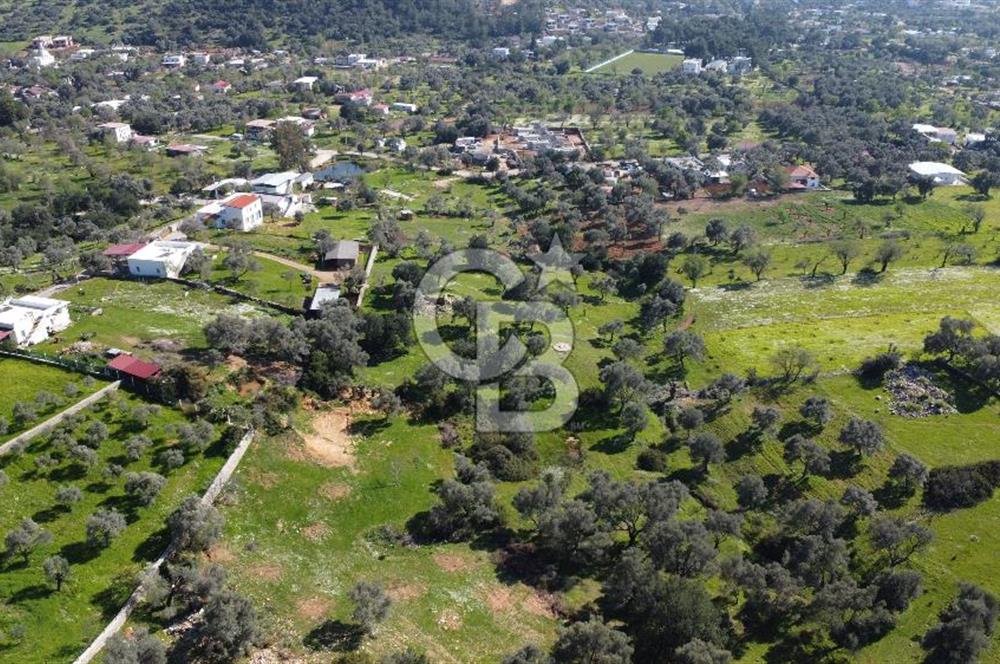Yalıçiftlikte  342 m2 parsel no:15