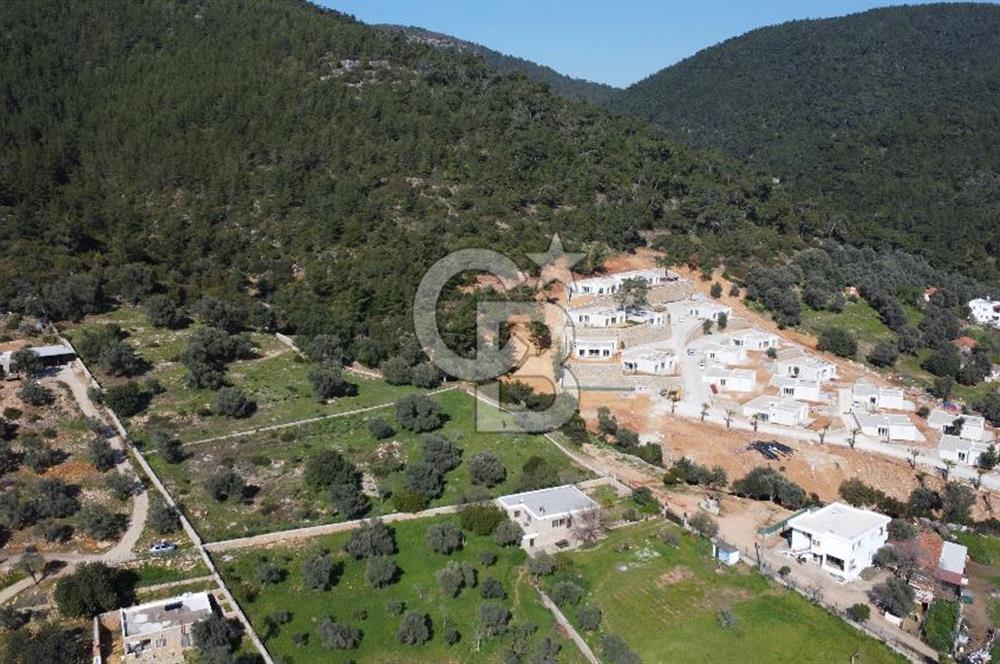 Yalıçiftlikte  342 m2 parsel no:11