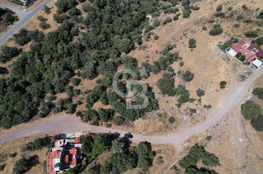 ÇANDARLI BİMEYKODA MUHTEŞEM DENİZ VE DOĞA MANZARALI SATILIK ARSA