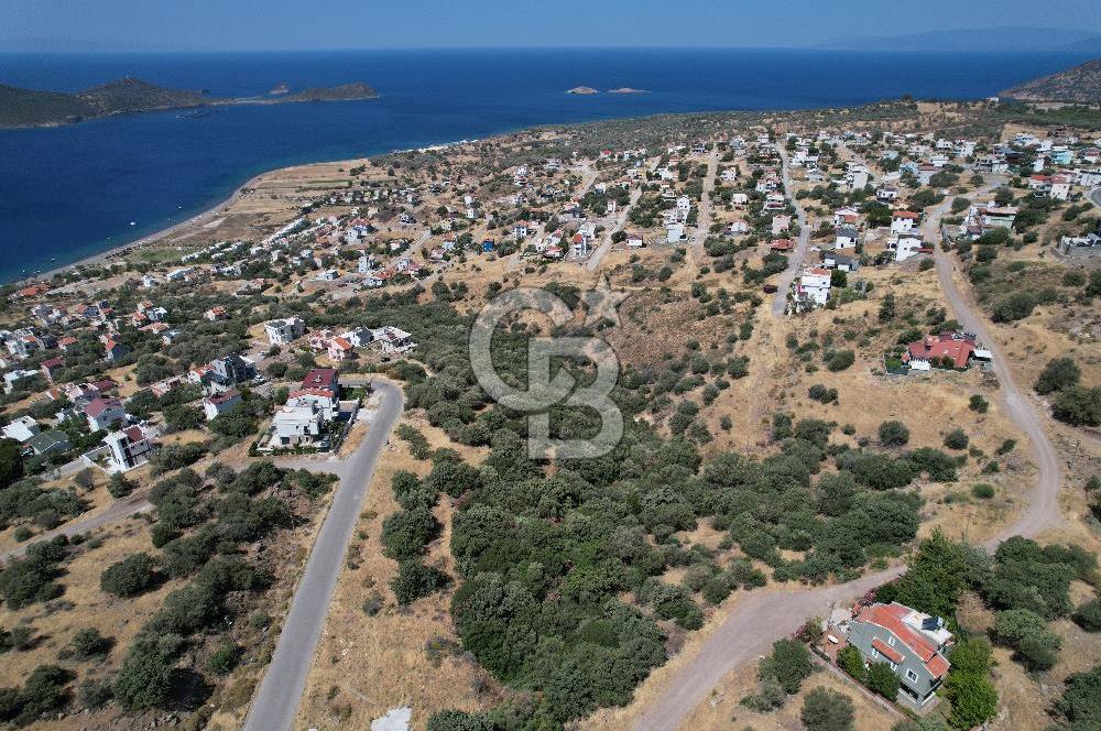 ÇANDARLI BİMEYKODA MUHTEŞEM DENİZ VE DOĞA MANZARALI SATILIK ARSA