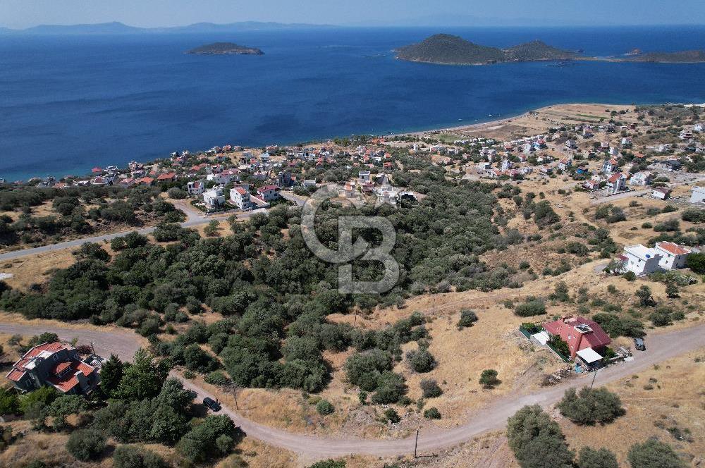 ÇANDARLI BİMEYKODA MUHTEŞEM DENİZ VE DOĞA MANZARALI SATILIK ARSA