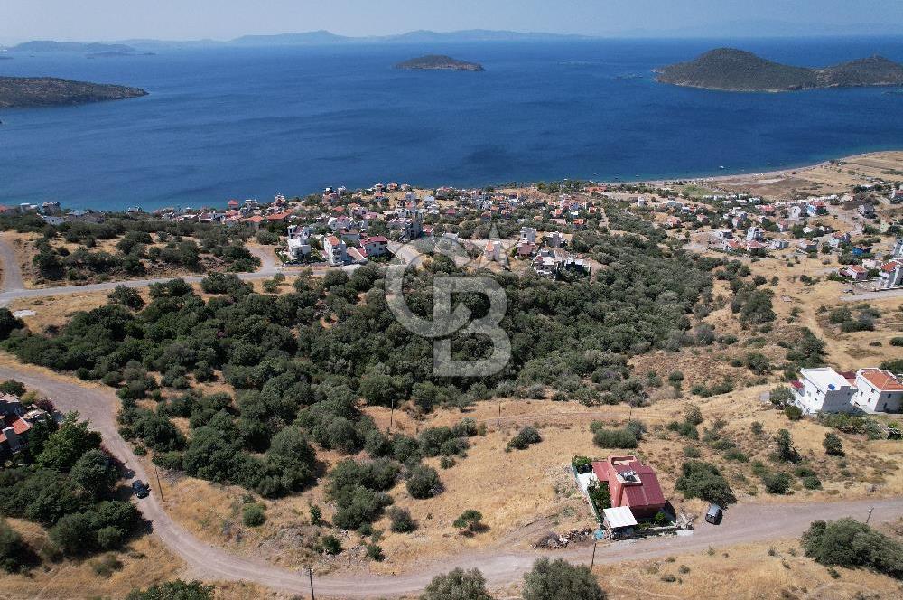 ÇANDARLI BİMEYKODA MUHTEŞEM DENİZ VE DOĞA MANZARALI SATILIK ARSA