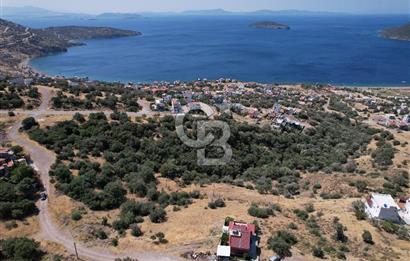 ÇANDARLI BİMEYKODA MUHTEŞEM DENİZ VE DOĞA MANZARALI SATILIK ARSA