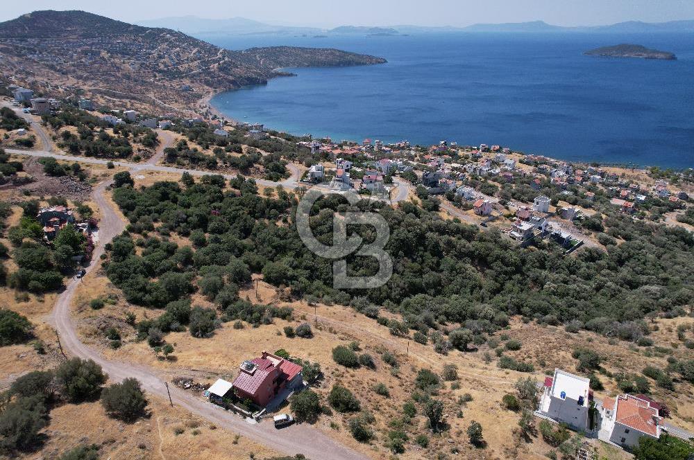 ÇANDARLI BİMEYKODA MUHTEŞEM DENİZ VE DOĞA MANZARALI SATILIK ARSA