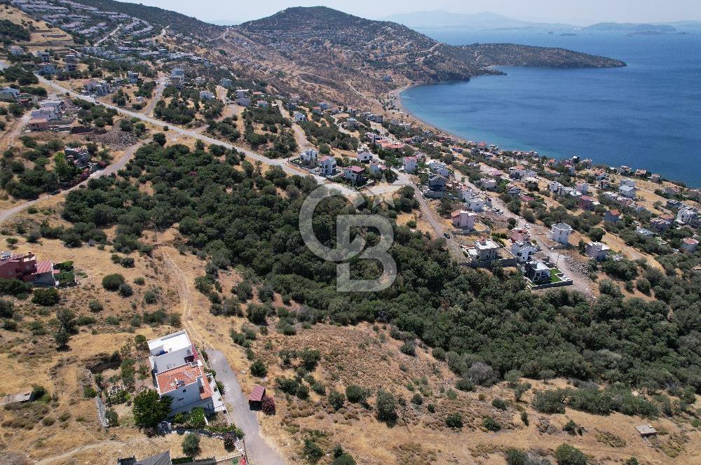 ÇANDARLI BİMEYKODA MUHTEŞEM DENİZ VE DOĞA MANZARALI SATILIK ARSA