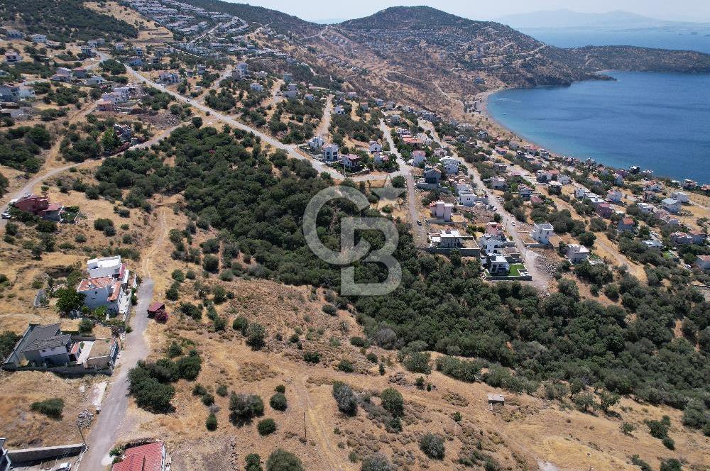 ÇANDARLI BİMEYKODA MUHTEŞEM DENİZ VE DOĞA MANZARALI SATILIK ARSA