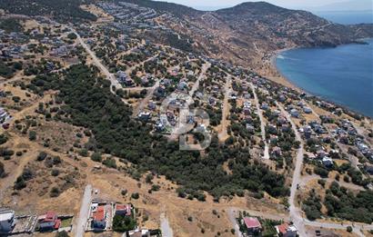 ÇANDARLI BİMEYKODA MUHTEŞEM DENİZ VE DOĞA MANZARALI SATILIK ARSA