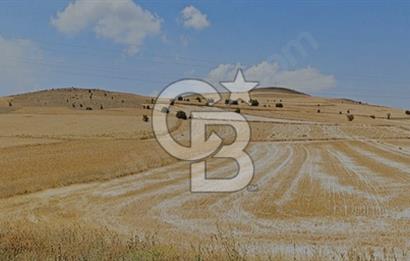 GÜNEŞLİDE KAYSERİNİN GELECEĞİNDE EN DEĞERLENECEK TARLA